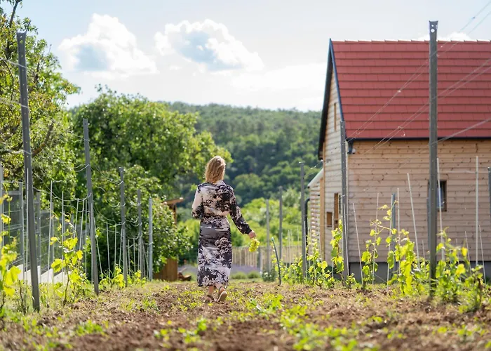 Wowcabin - Alpesi faház Lovas